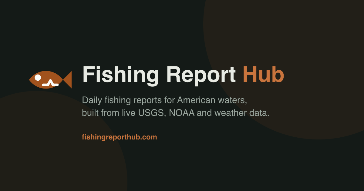 Salt Rules Salt River Fishing Report Today (October 2026)
